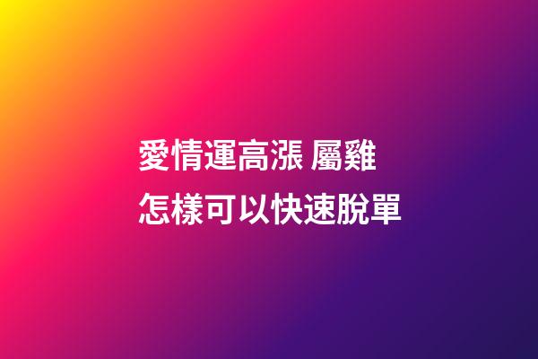 愛情運高漲 屬雞怎樣可以快速脫單